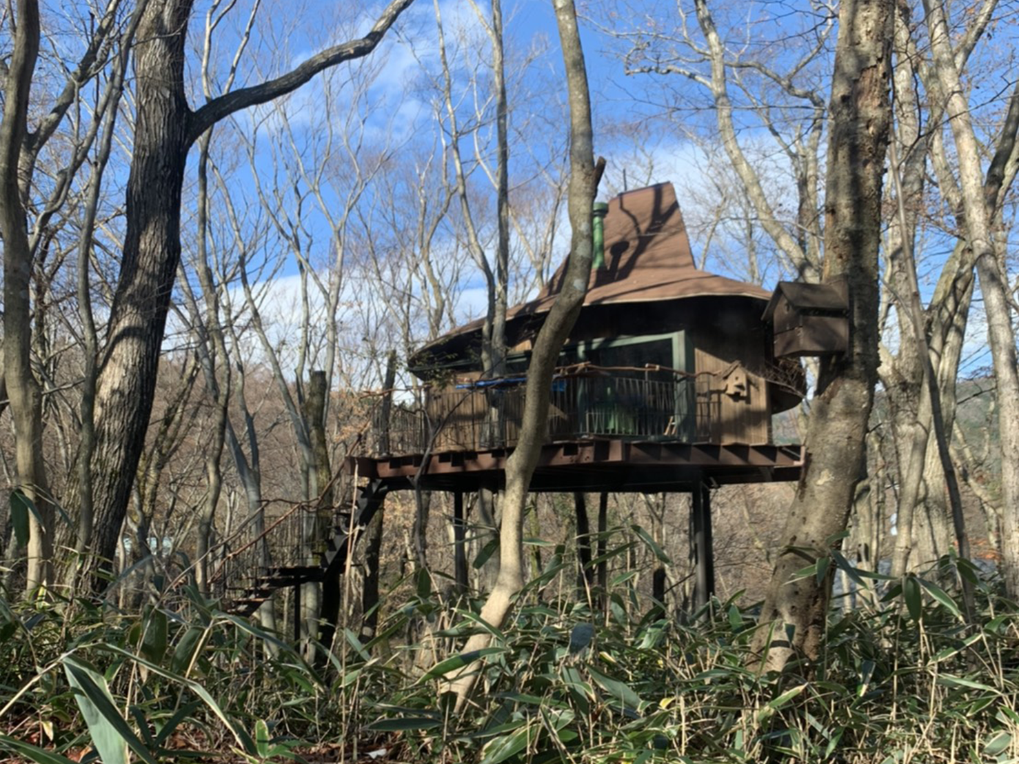 箱根町　ツリーハウス塗装